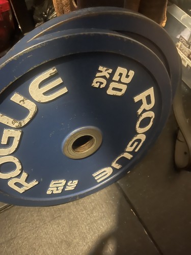 Rogue 20kg pair olympic - rogue,