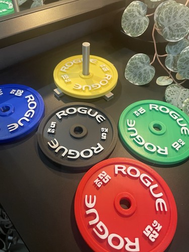 Rogue colour weight - weight, plates