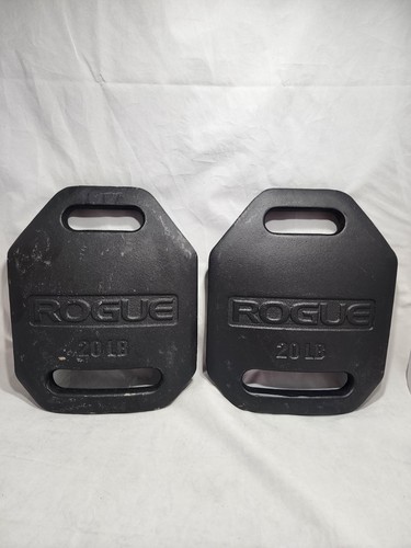 Rogue fitness set echo - fitness,