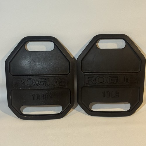 Rogue fitness echo - rogue,