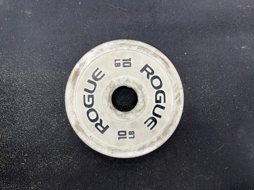 Rogue 10lb steel - rogue,