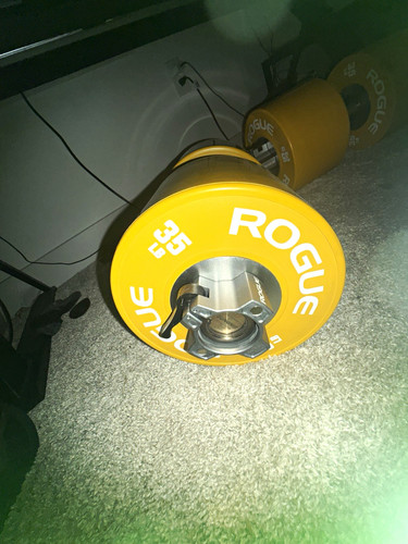 Rogue 35lb dumbbell bumper