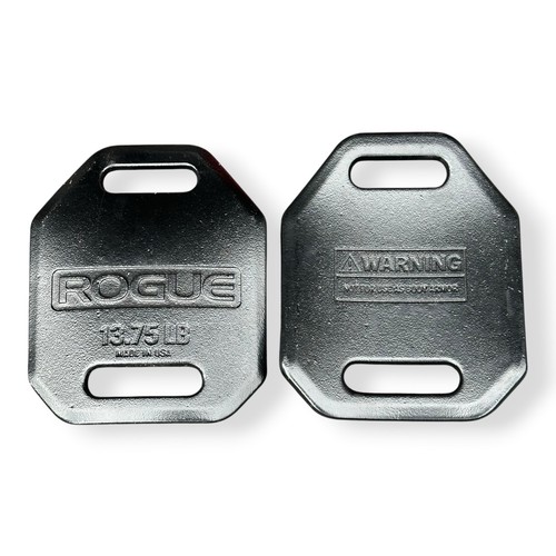 Rogue cast weight vest - cast,