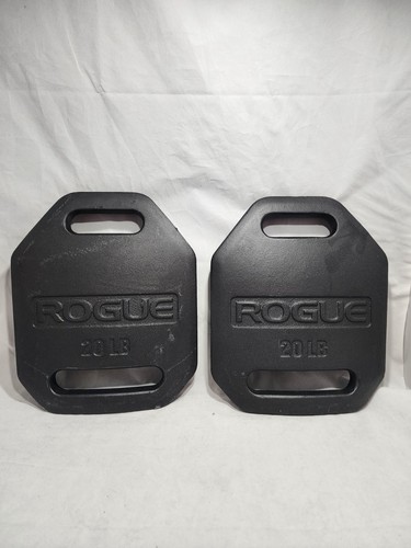Rogue fitness set echo - rogue,