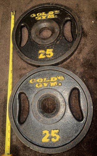 Gold gym 25 lb weight - 25,