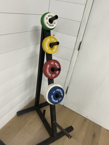 Rogue fitness change - rogue, kg