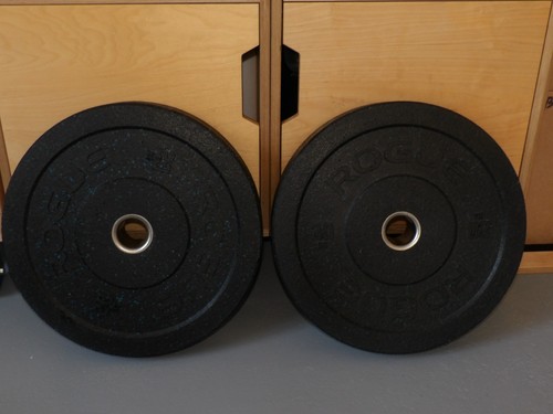 Rogue bumper weight plates - bumper,